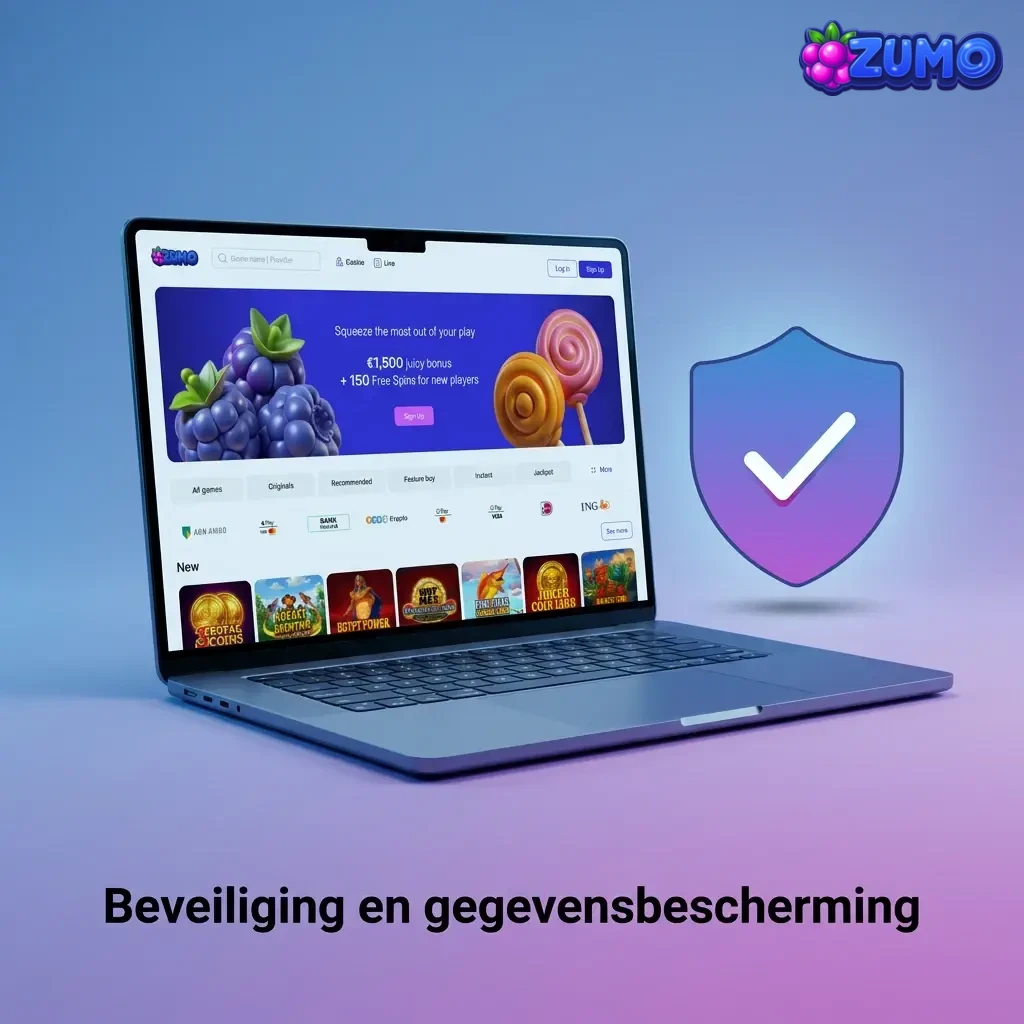 Illustratie van SSL-encryptie, identiteitscontrole en beveiligde betalingen met privacy- en beveiligingsinstellingen in profiel
