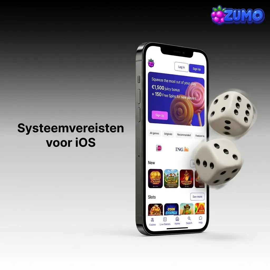 Tabel met minimale iOS-systeemvereisten: iOS 12, 1 GB RAM, 100 MB vrije ruimte en iPhone 6S of nieuwer